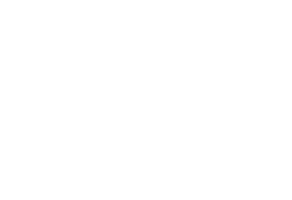 Marmara Royals